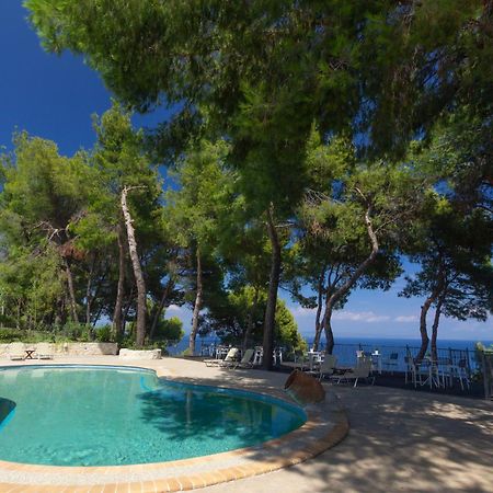 Evripidis Hotel Afytos Dış mekan fotoğraf